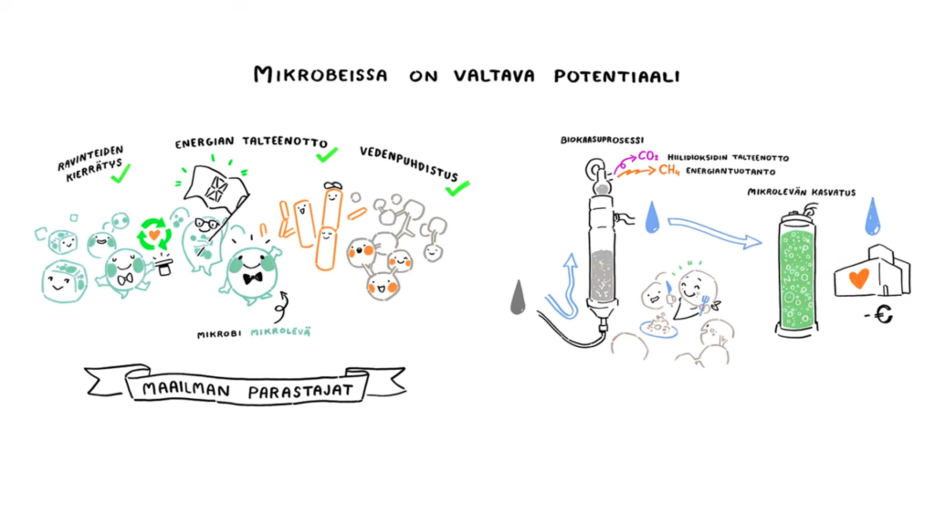 Mikrobeissa on valtava potentiaali