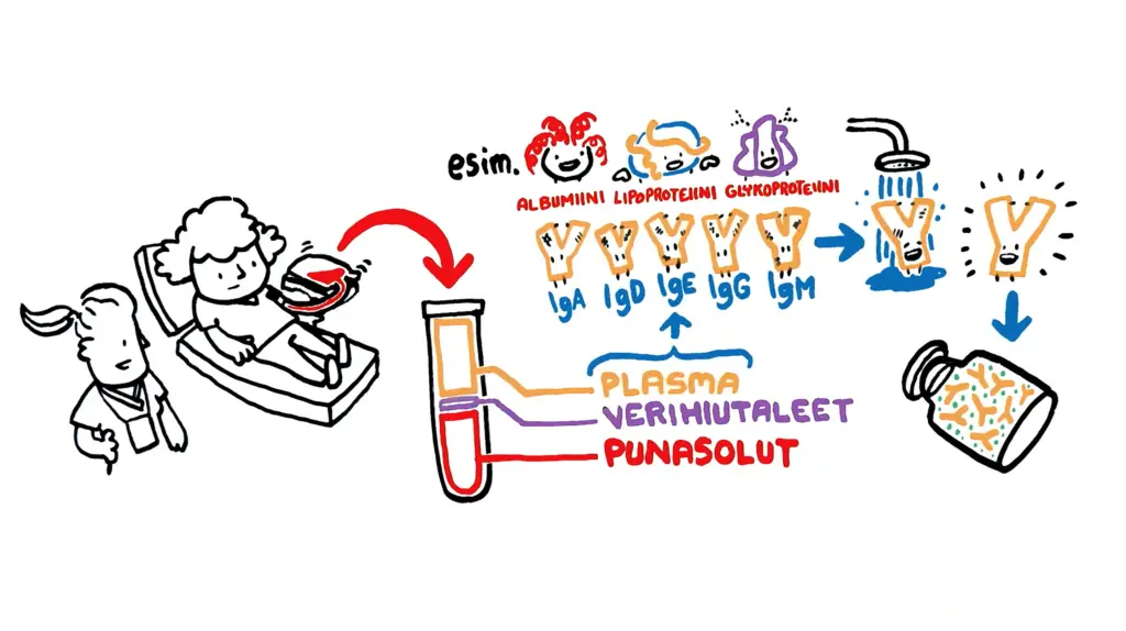 Vasta-aineet, veren pienet sankarit